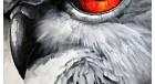 Картина маслом Орлиный глаз