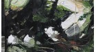 Картина маслом Мангровые леса